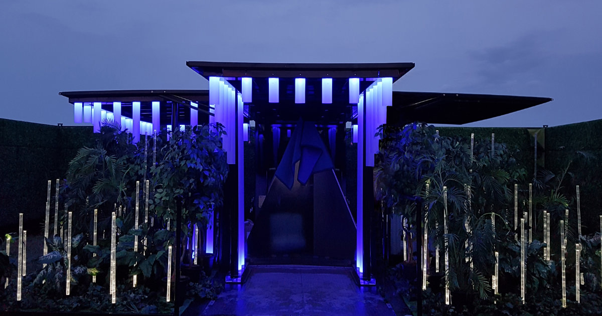 Neon Oasis: an immersive brand launch | Haus of Park - For The Pursuit ...